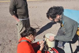 Exploración en el Salar de Maricunga: Un nuevo paso en el estudio de los humedales de Atacama