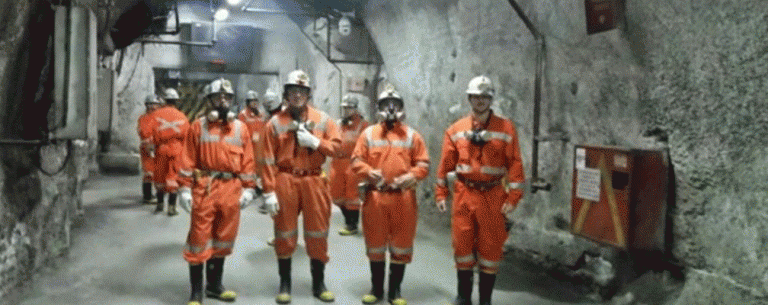Video DIM para Egresados 2019