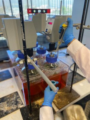 Semana Minera: Visita Laboratorios DIM