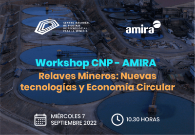 Workshop CNP -AMIRA, Conferencista Álvaro Videla