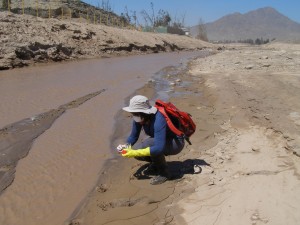 El estudio del Centro de Desarrollo Urbano Sustentable (CEDEUS) examina los lodos en zonas afectadas por el aluvión en Copiapó y Chañaral.