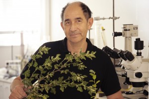 Profesor Ricardo San Martín