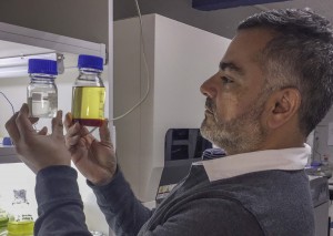En las pruebas efectuadas en motores diésel, las microalgas demostraron ser una alternativa técnicamente factible para reducir los contaminantes de los buses del Transantiago, así como de los vehículos pesados.