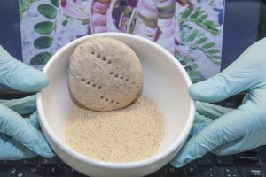 La preparación de este pan tipo hallulla se encuentra 100% libre de acrilamida, gracias al uso de extracto de vainas de Tara. 