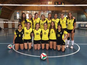 Selección de voleibol damas