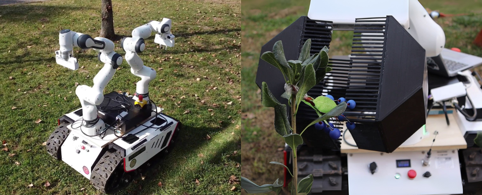 Robot chileno aprende a cosechar frutas delicadas | Ingeniería UC